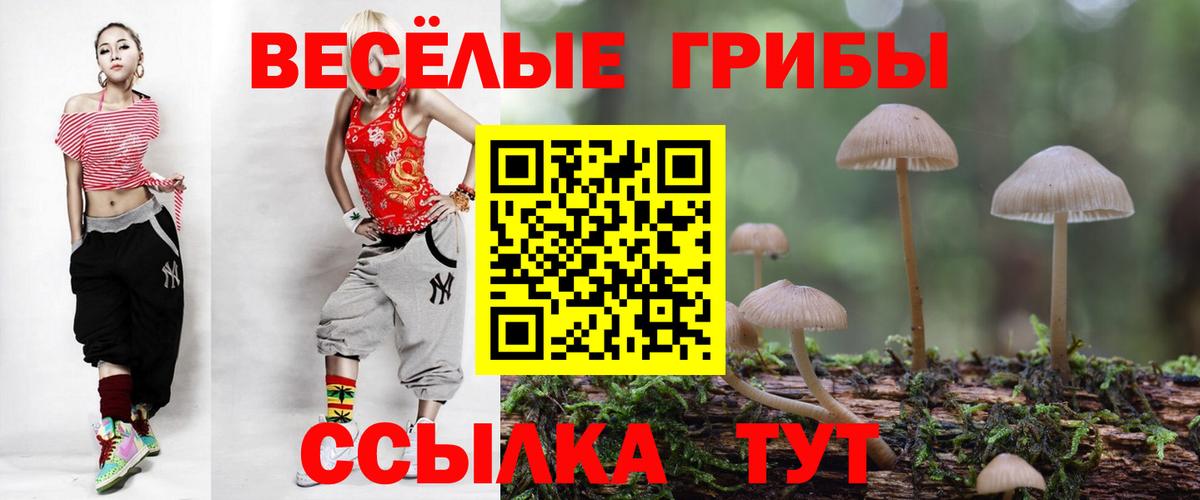 Джанкой  Псилоцибиновые грибы мицелий  Псилоцибиновые грибы GOLDEN TEACHER  Вход с VPN 
